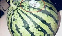 延安网红吃瓜,揭秘网红圈背后的故事